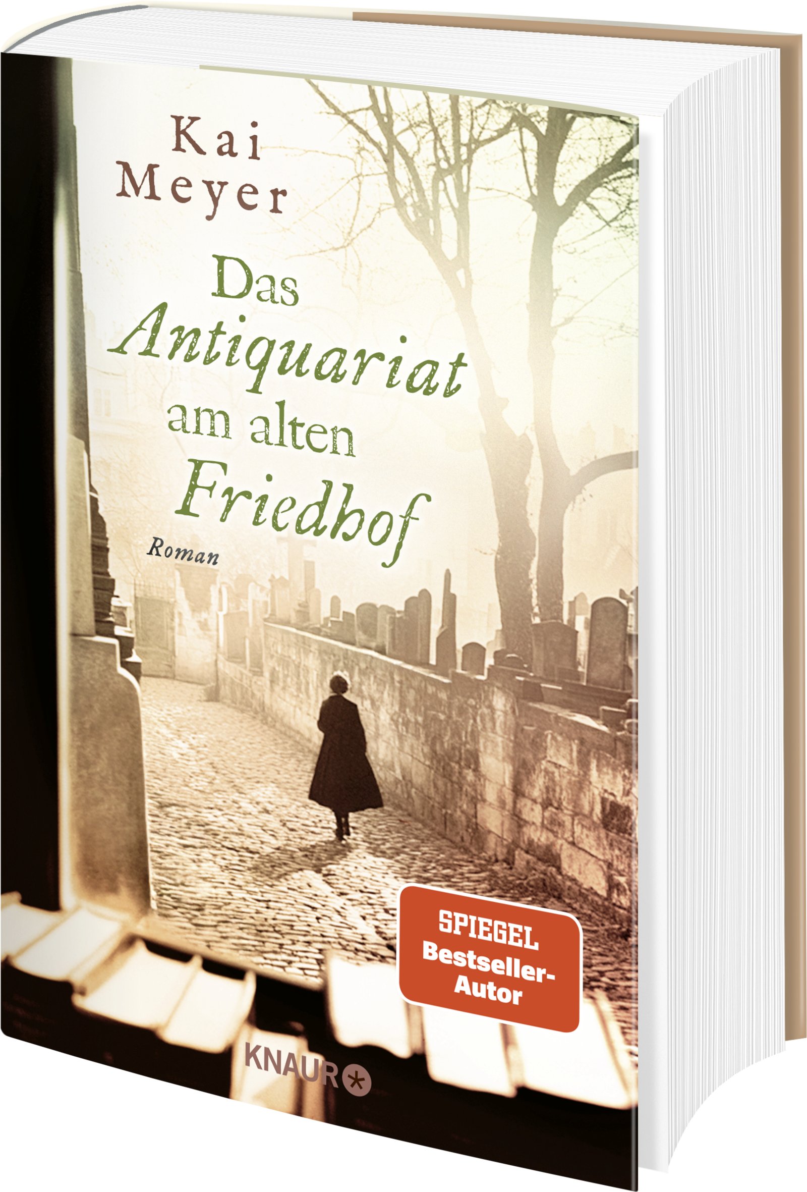 Gesamtes Coverbild Das Antiquariat am alten Friedhof