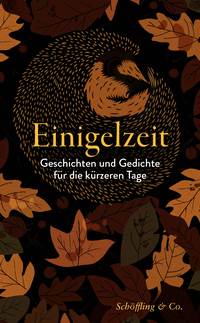 Vorderes Coverbild Einigelzeit