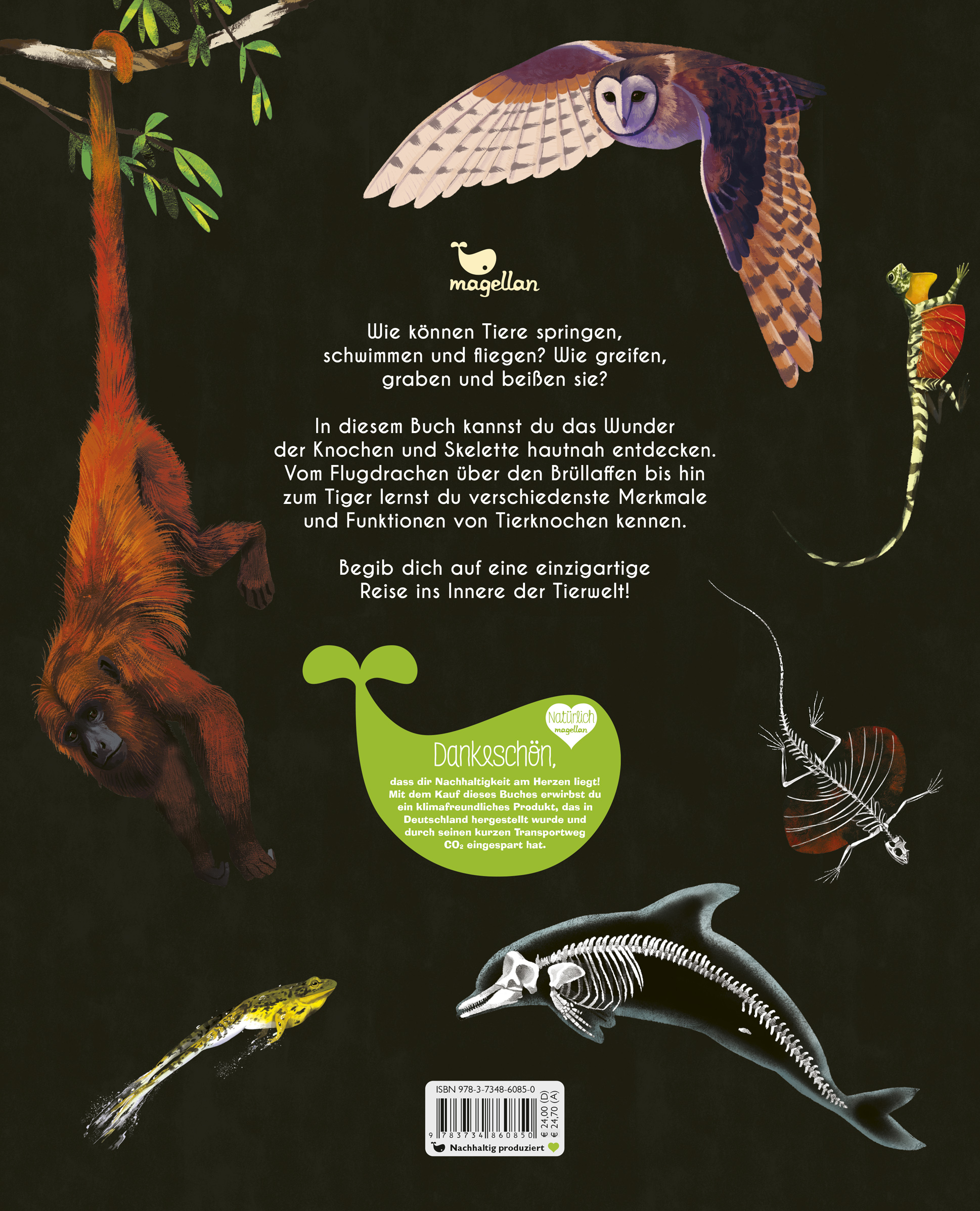 Rückseitencover Bones - Knochen und Skelette in der Tierwelt