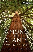 Vorderes Coverbild Among the Giants