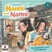 Vorderes Coverbild Folge 3: Ein heimlicher Gast auf Lindenhof (Neue A