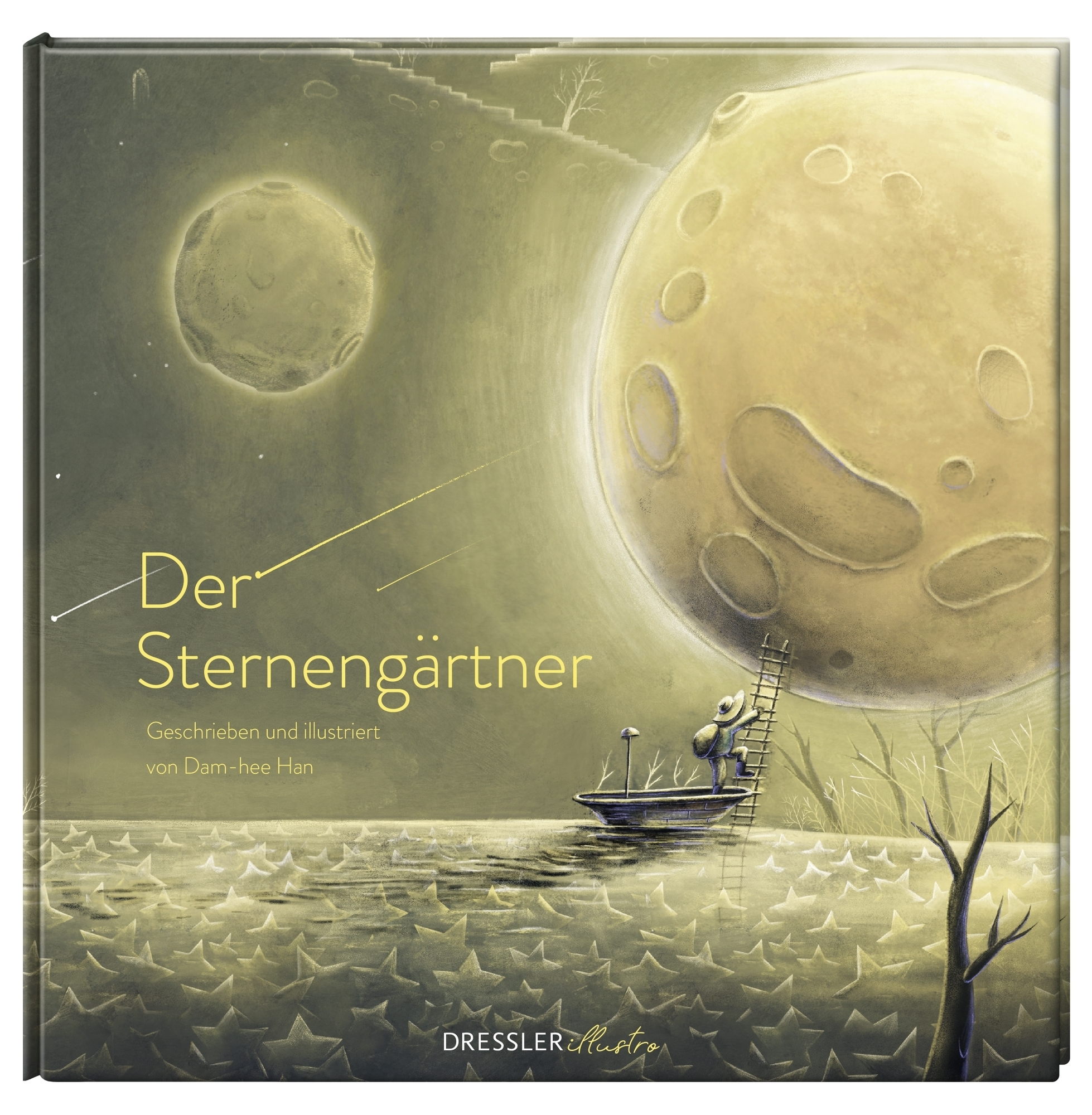 Gesamtes Coverbild Der Sternengärtner