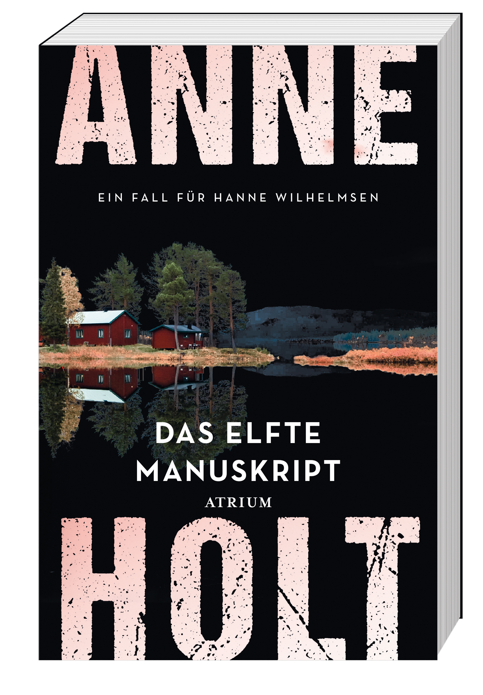 Gesamtes Coverbild Das elfte Manuskript
