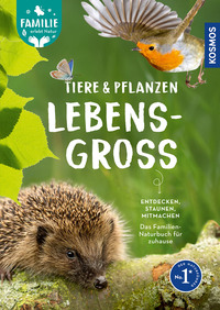 Vorderes Coverbild Tiere und Pflanzen lebensgroß