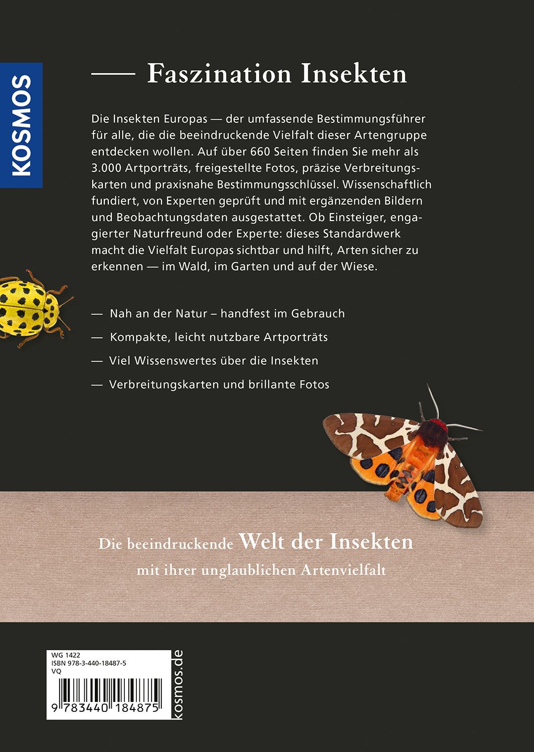 Rückseitencover Insekten Europas