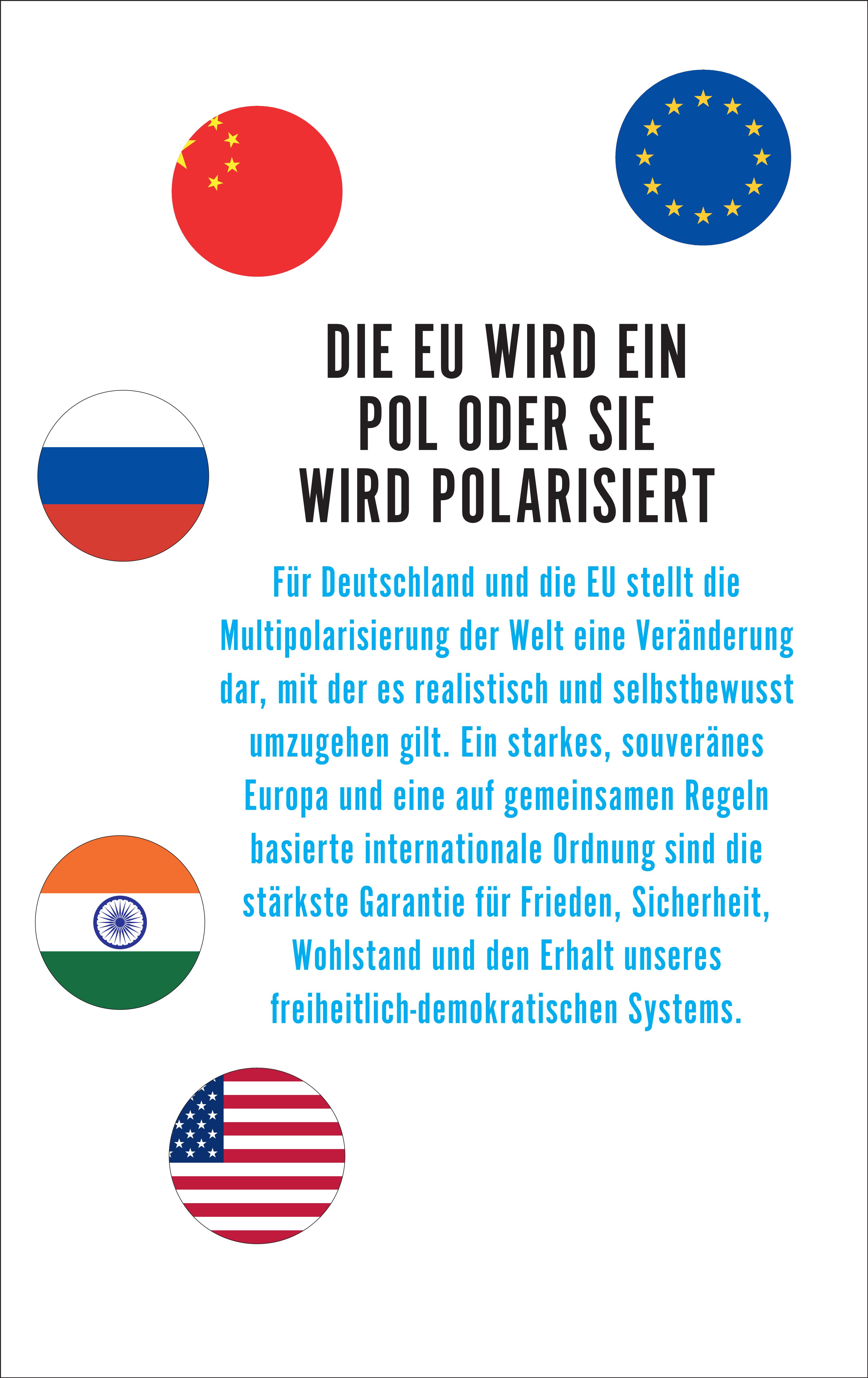 Rückseitencover Die Multipolarisierung der Welt