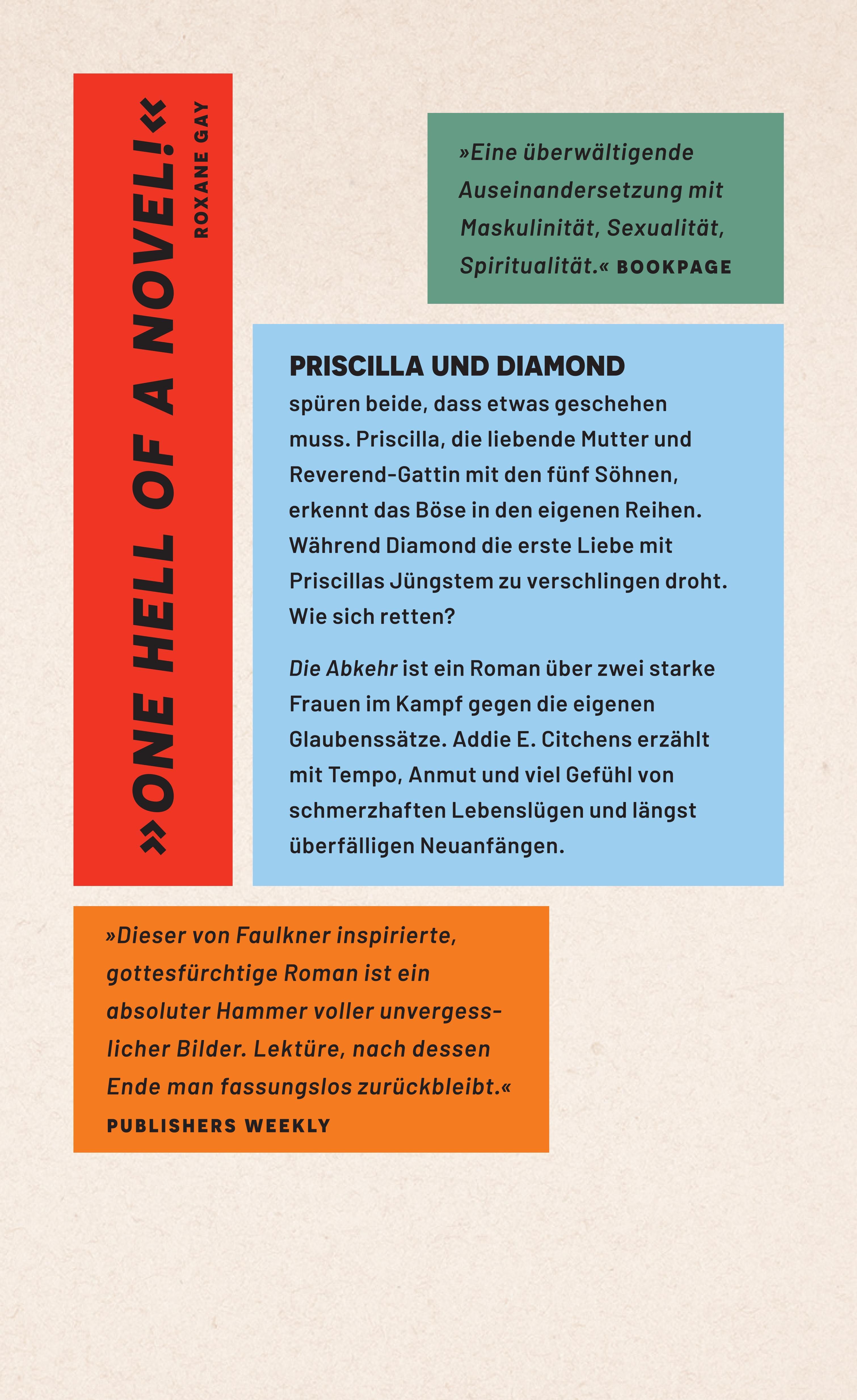 Rückseitencover Die Abkehr