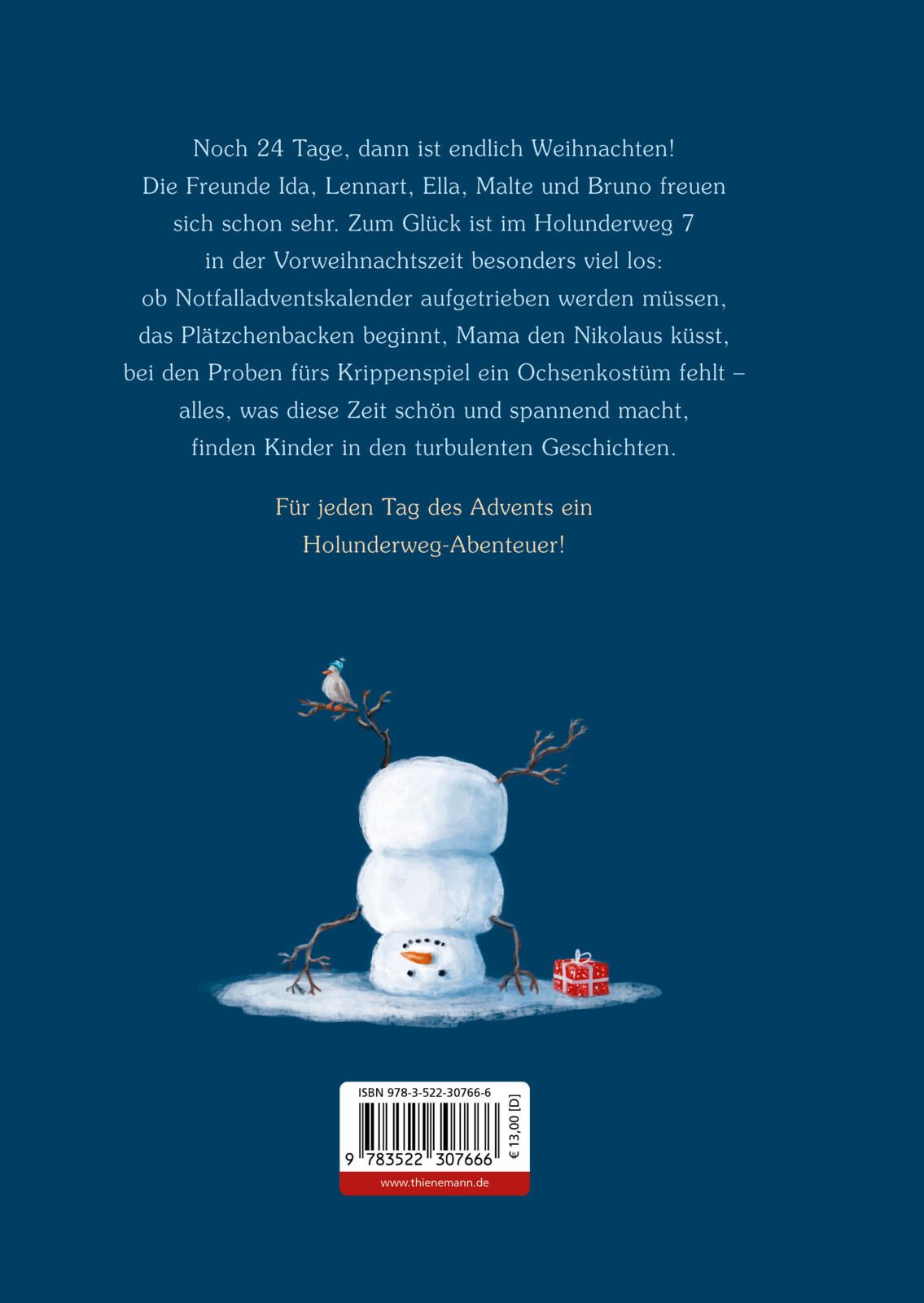 Rückseitencover Weihnachten im Holunderweg