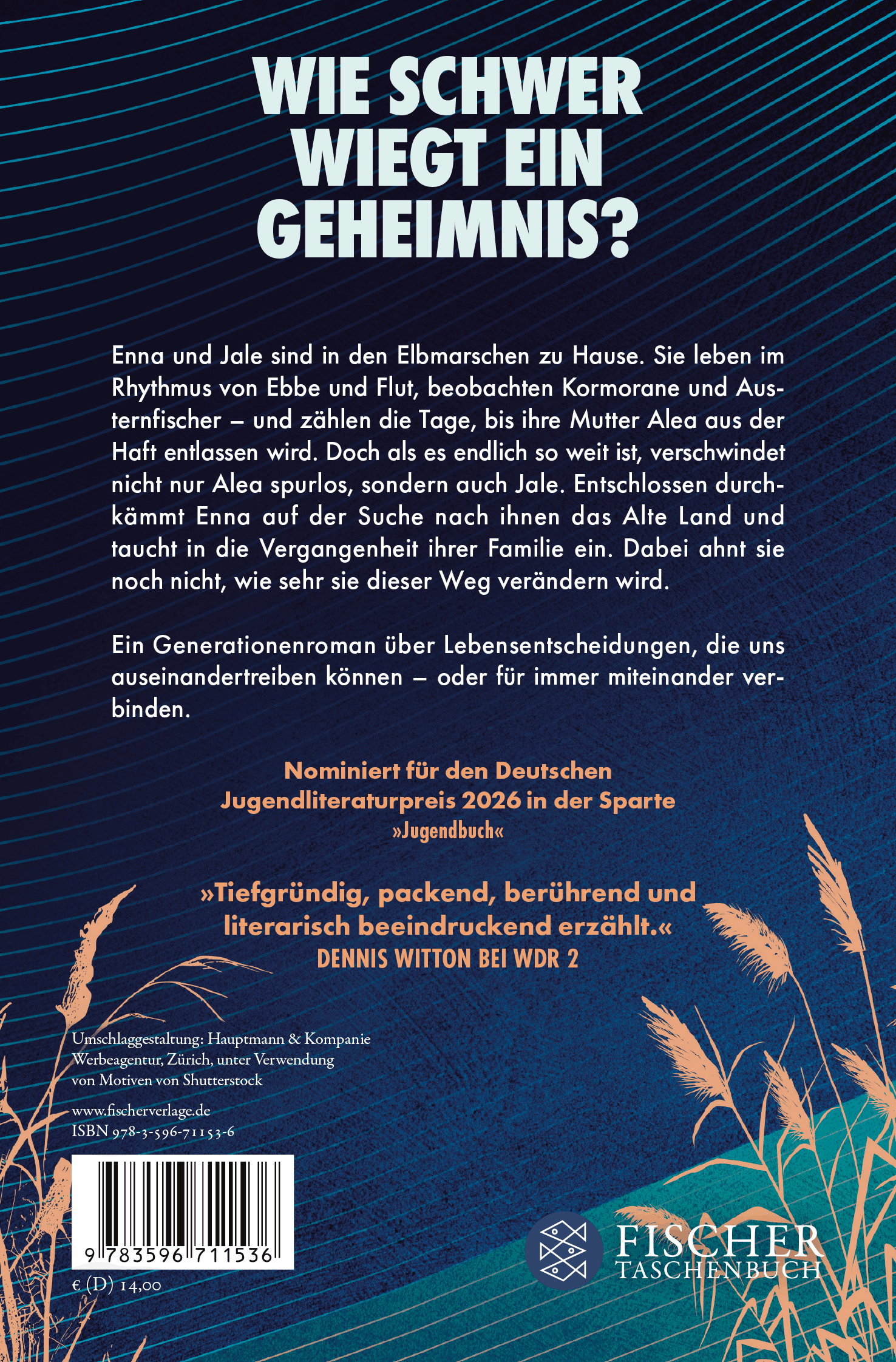 Rückseitencover Stromlinien