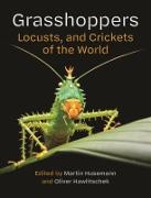 Vorderes Coverbild Grasshoppers, Locusts, and Crickets of the World