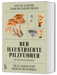 Vorderes Coverbild Der illustrierte Pilzführer