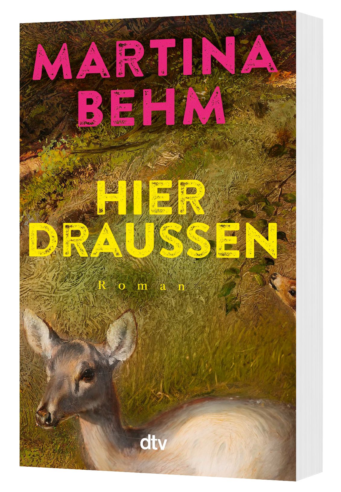 Gesamtes Coverbild Hier draußen