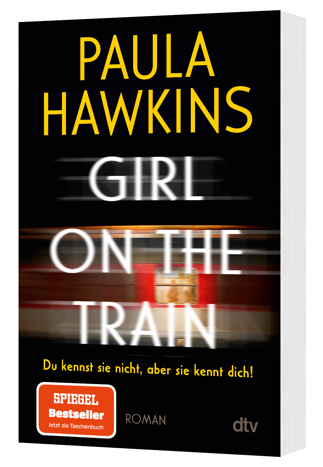 Gesamtes Coverbild Girl on the Train