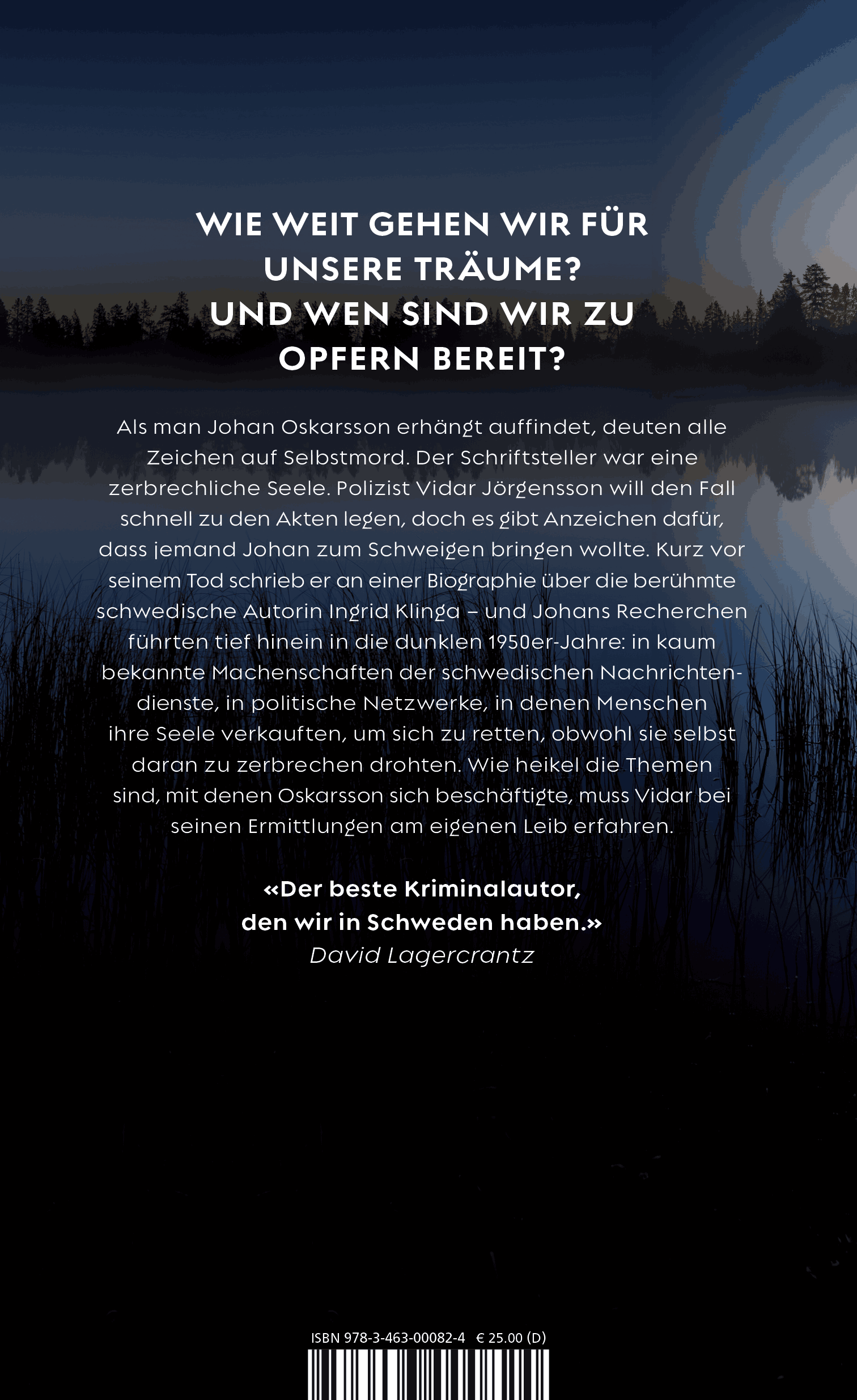 Rückseitencover Hinter dem Nebel