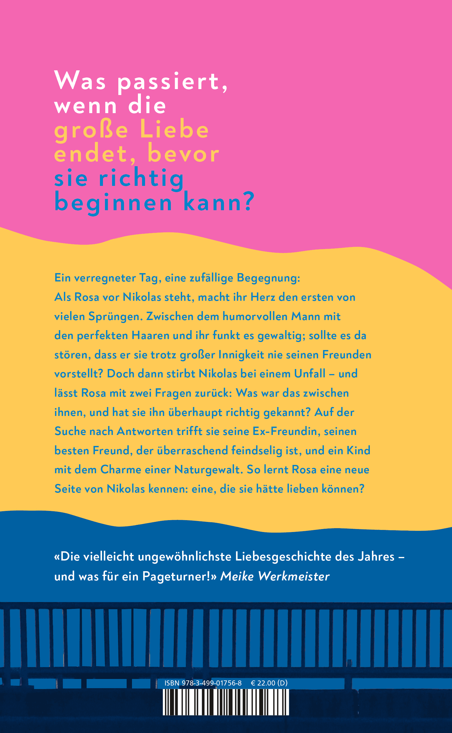 Rückseitencover Eine Liebe ohne Sommer