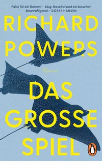 Vorderes Coverbild Das große Spiel
