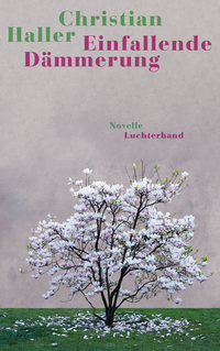 Vorderes Coverbild Einfallende Dämmerung