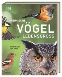 Vorderes Coverbild Heimische Vögel lebensgroß