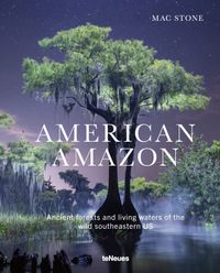 Vorderes Coverbild American Amazon