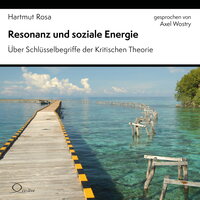 Vorderes Coverbild Resonanz und soziale Energie
