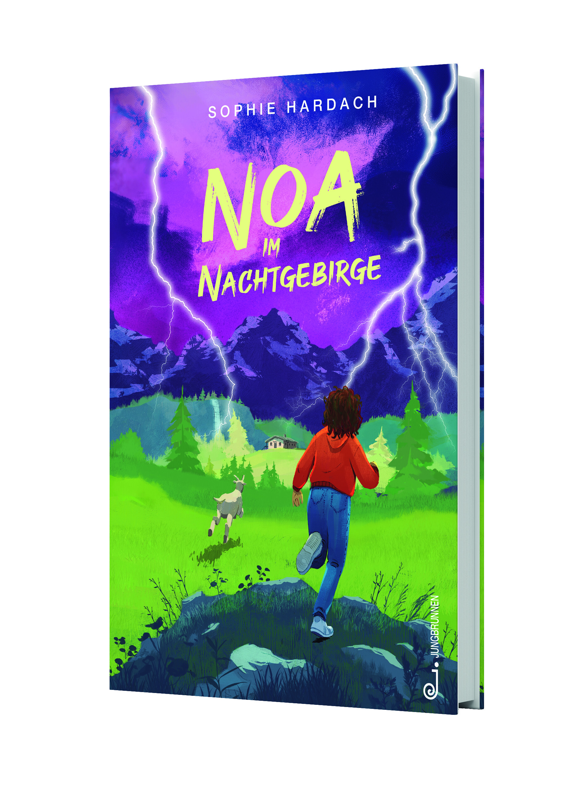 Gesamtes Coverbild Noa im Nachtgebirge