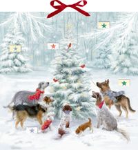 Vorderes Coverbild Zettel-Adventskalender - Weihnachten auf vier Pfoten