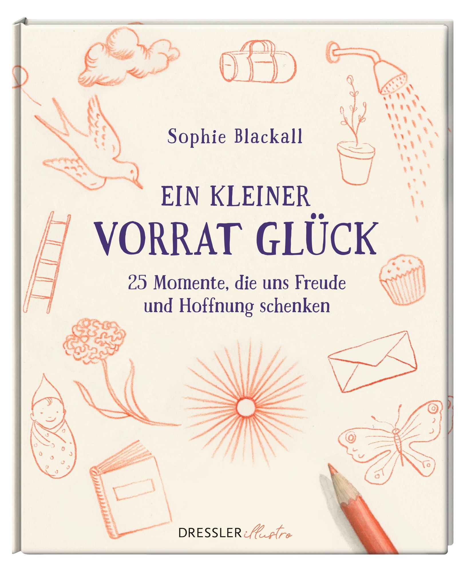 Gesamtes Coverbild Ein kleiner Vorrat Glück