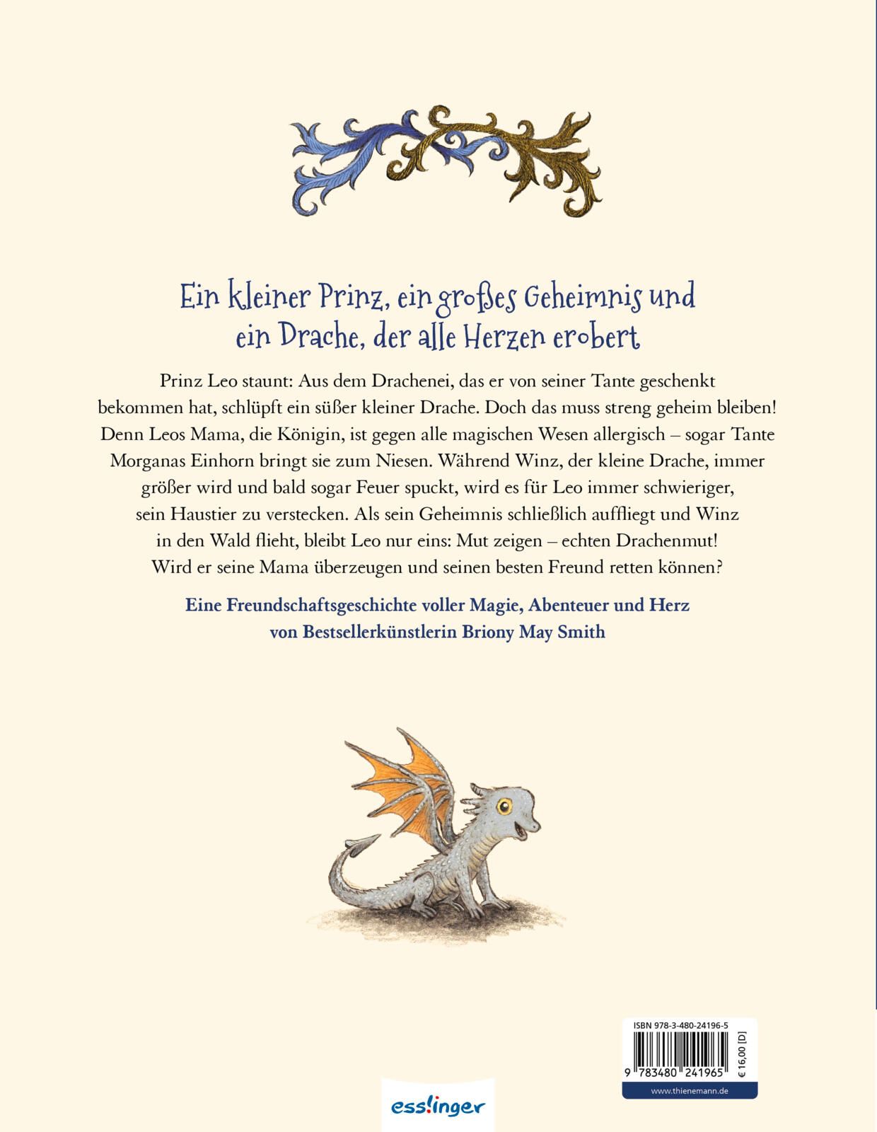 Rückseitencover Leo und der geheime Drache