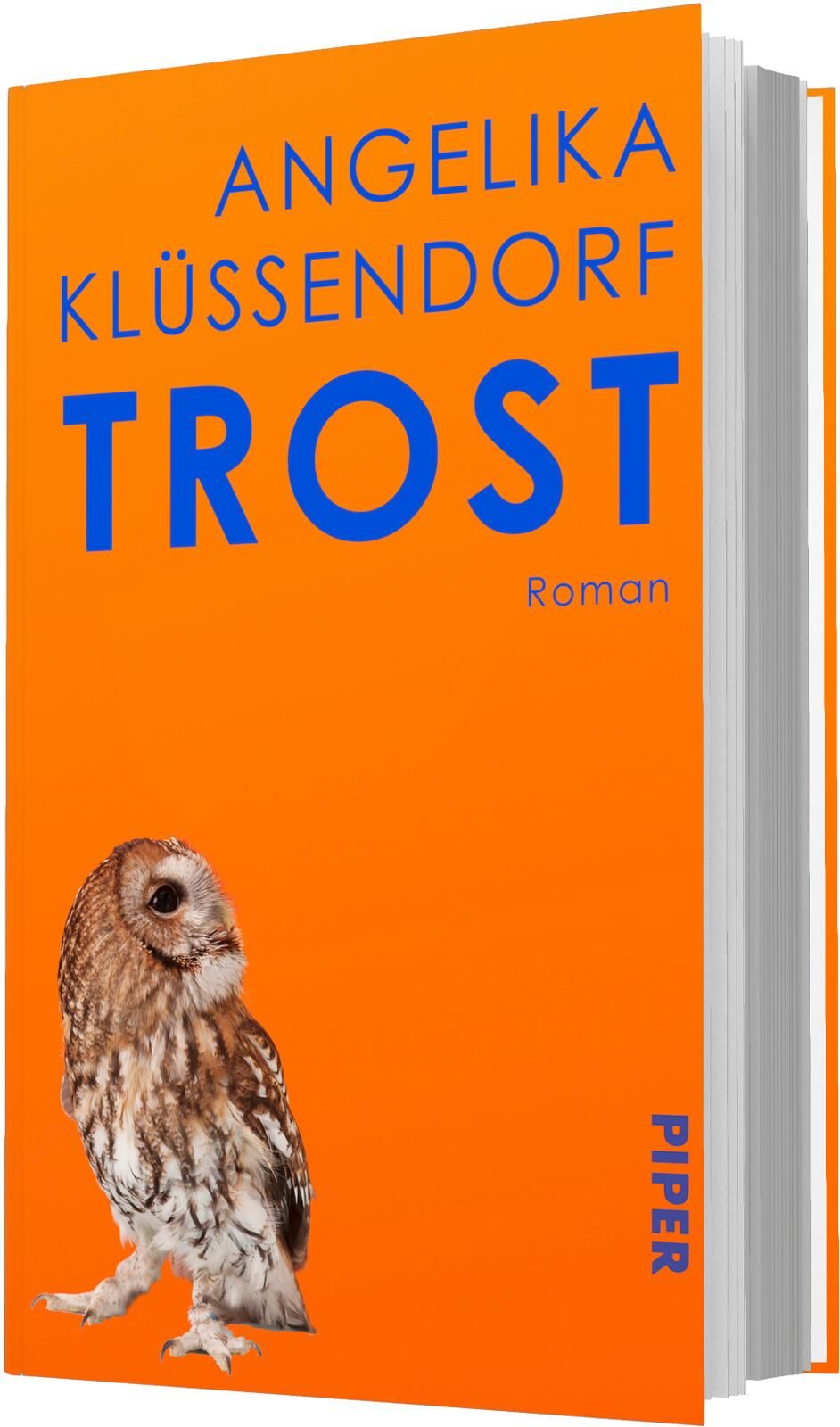 Gesamtes Coverbild Trost