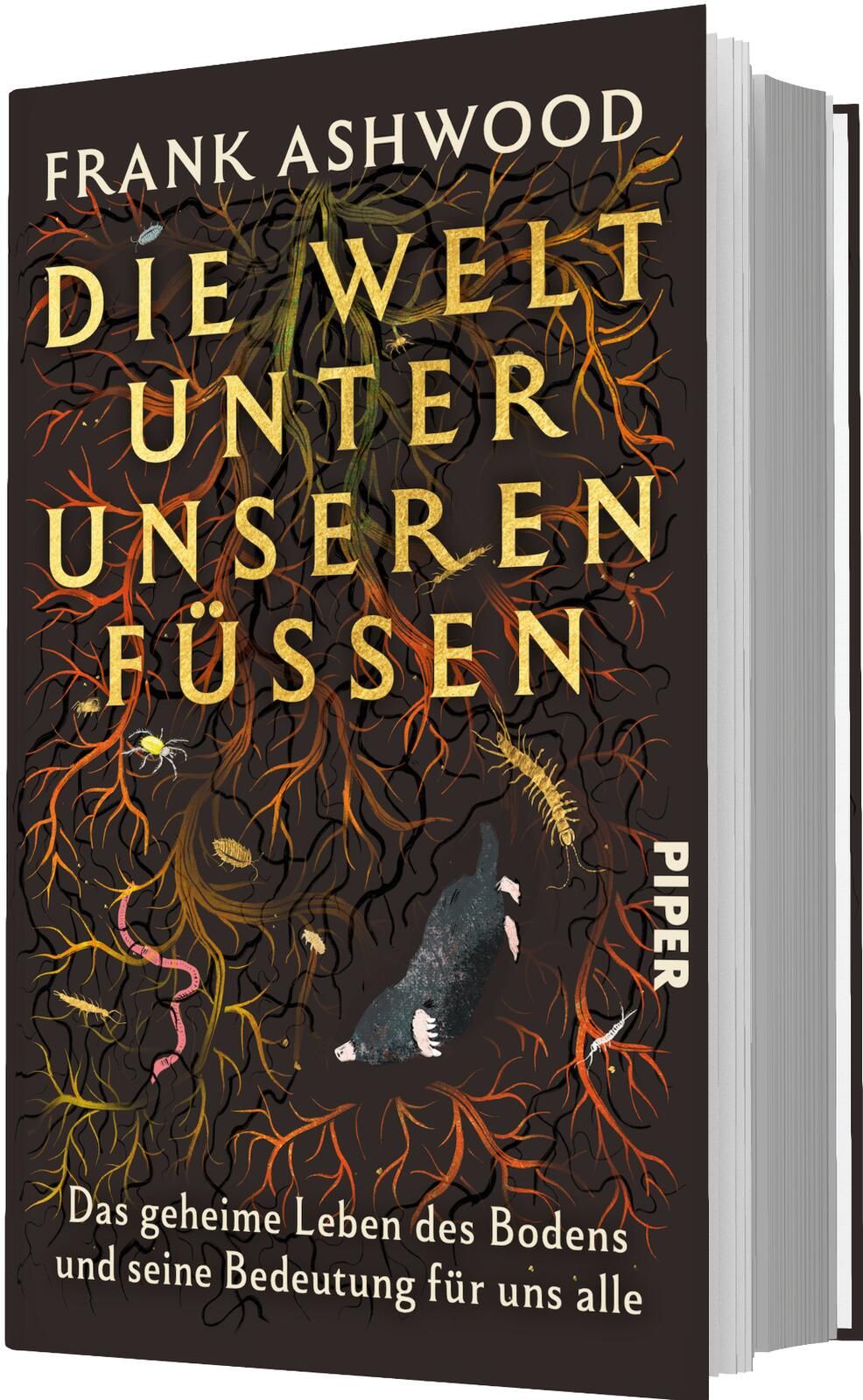 Gesamtes Coverbild Die Welt unter unseren Füßen