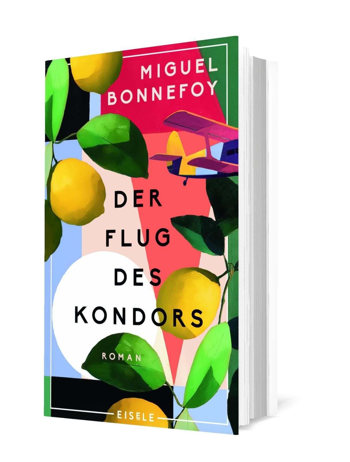 Gesamtes Coverbild Der Flug des Kondors