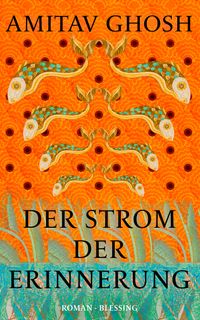 Vorderes Coverbild Der Strom der Erinnerung