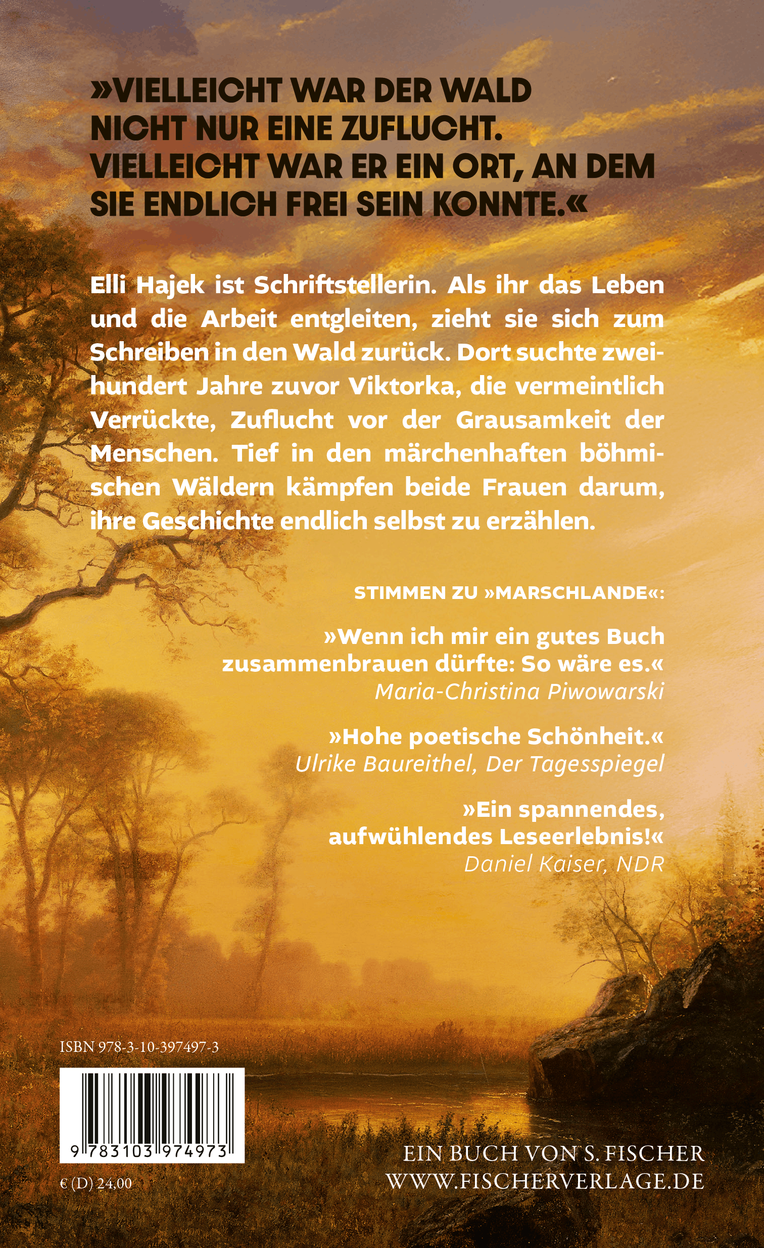 Rückseitencover Im Licht des neuen Tages
