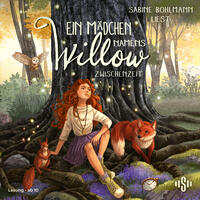 Vorderes Coverbild Ein Mädchen namens Willow 6: Zwischenzeit