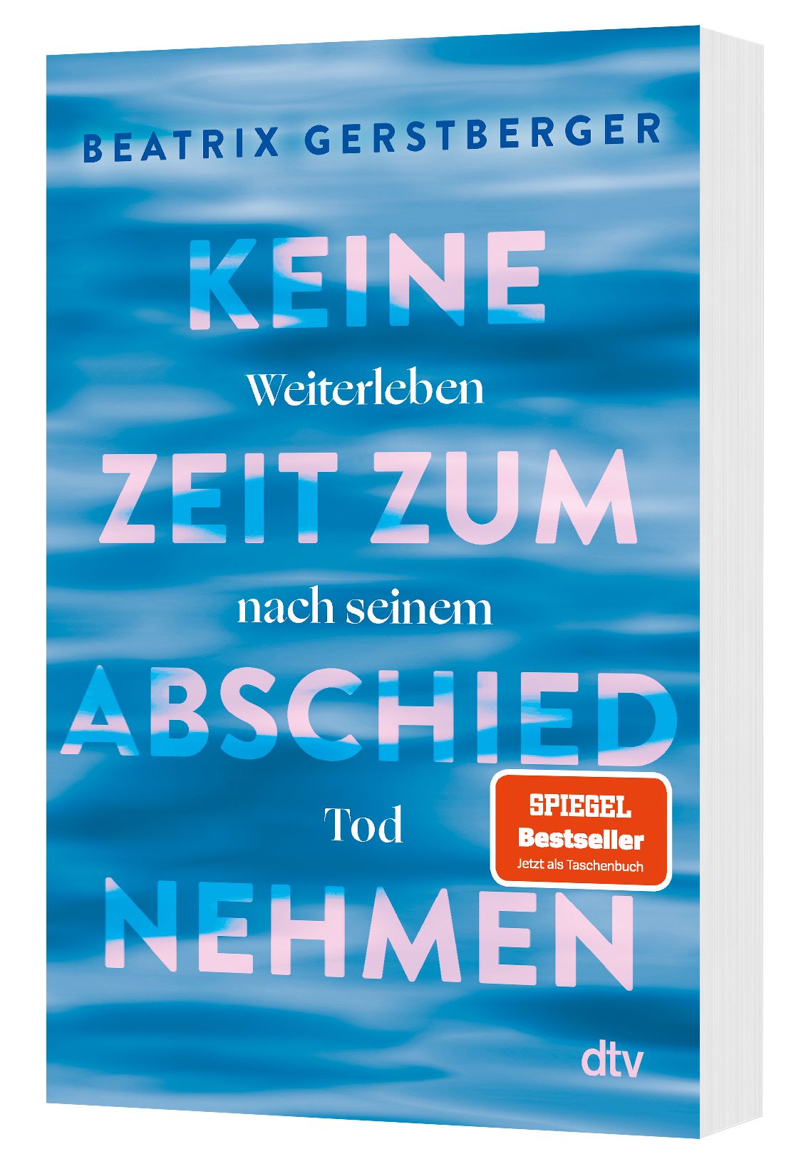 Gesamtes Coverbild Keine Zeit zum Abschiednehmen