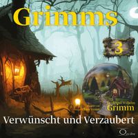 Vorderes Coverbild Grimms - Staffel 3