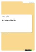 Vorderes Coverbild Ergänzungsbilanzen