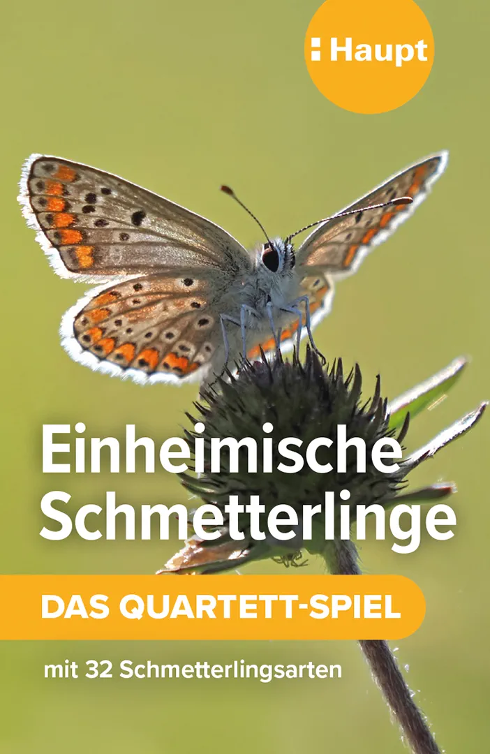 Vorderes Coverbild Einheimische Schmetterlinge – das Quartett-Spiel