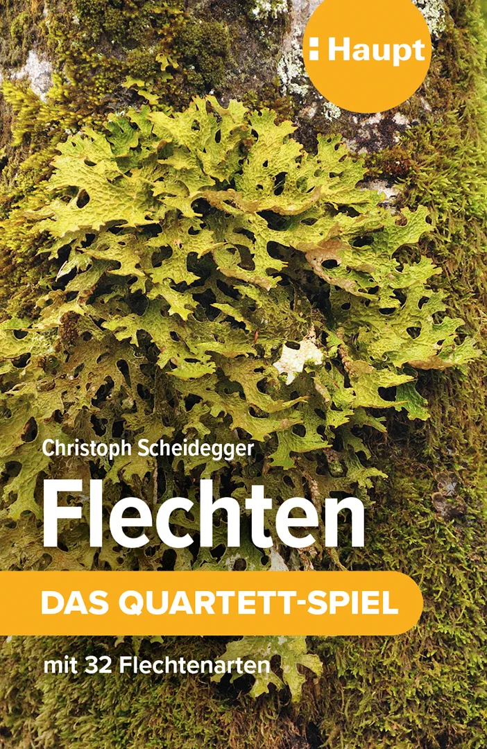 Vorderes Coverbild Flechten – das Quartett-Spiel