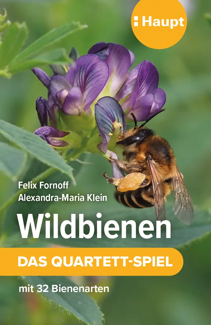 Vorderes Coverbild Wildbienen – das Quartett-Spiel