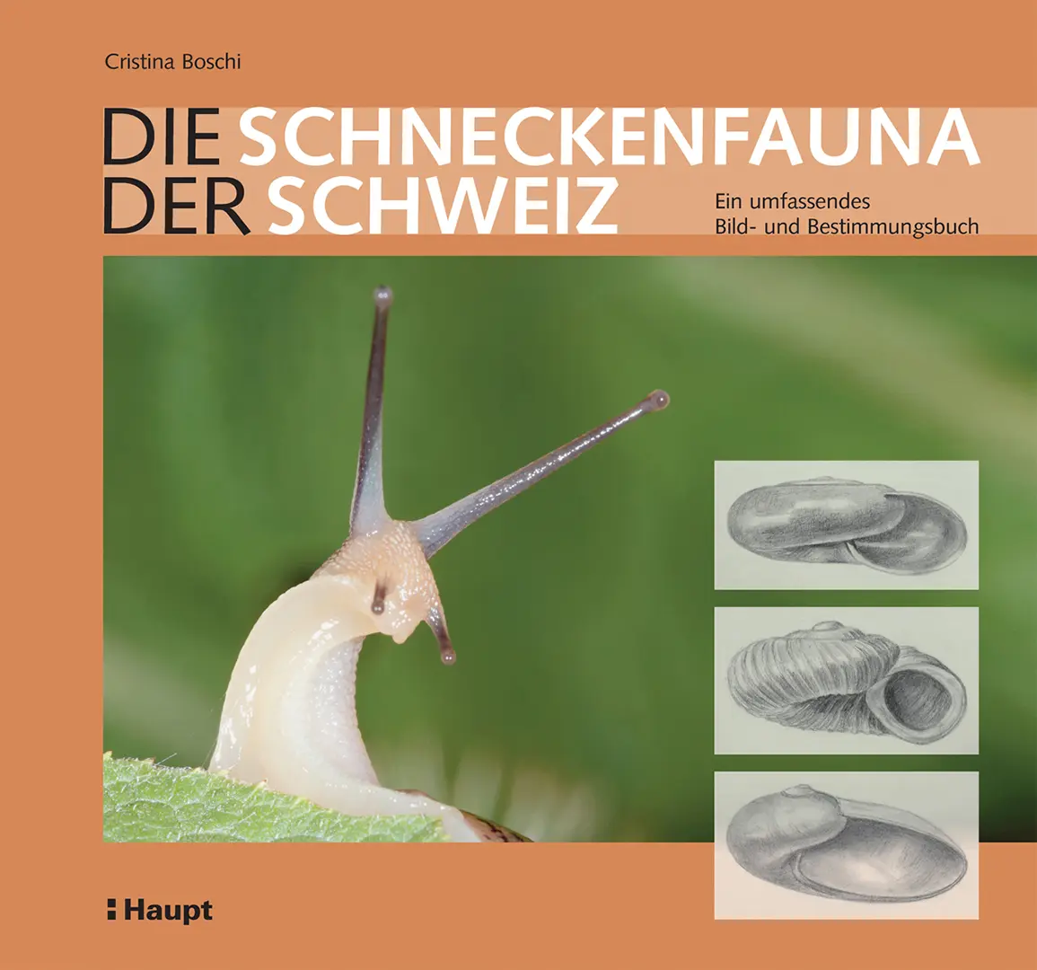 Vorderes Coverbild Die Schneckenfauna der Schweiz