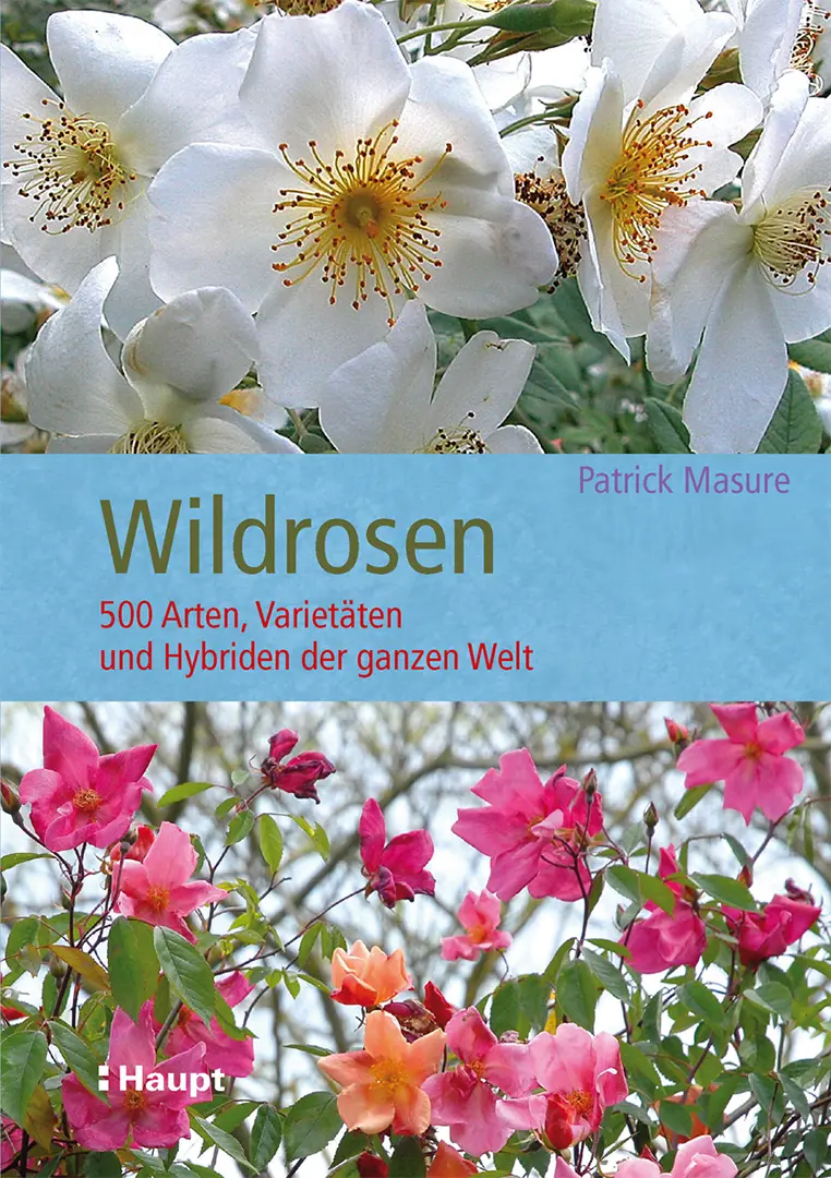 Vorderes Coverbild Wildrosen