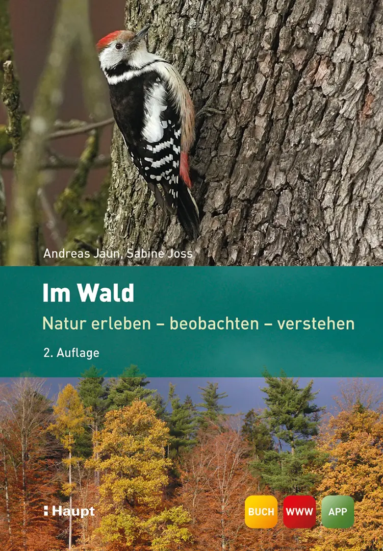 Vorderes Coverbild Im Wald