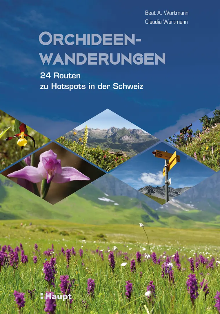 Vorderes Coverbild Orchideenwanderungen