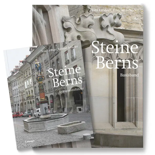 Vorderes Coverbild Steine Berns