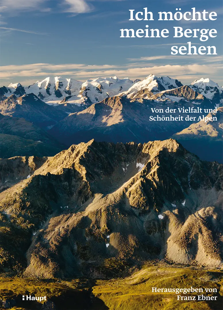 Vorderes Coverbild Ich möchte meine Berge sehen