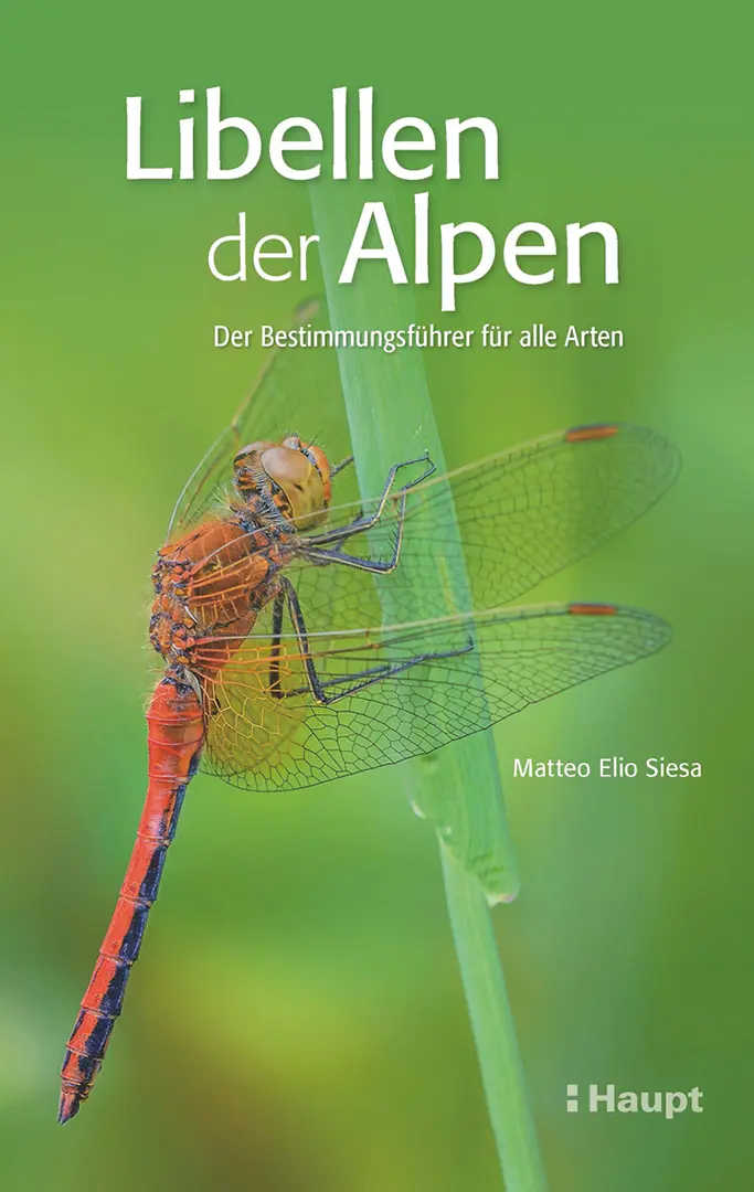 Vorderes Coverbild Libellen der Alpen