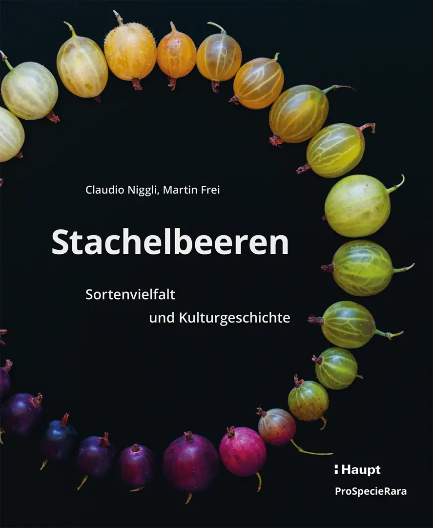 Vorderes Coverbild Stachelbeeren