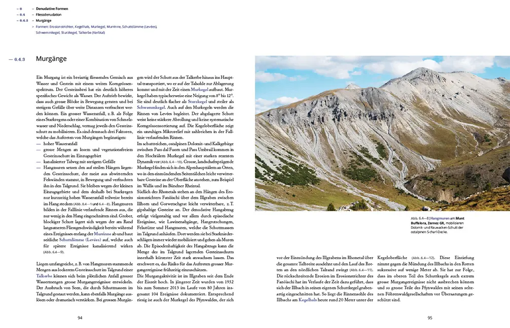 Beispielinhalt (Bild) Das Relief der Schweiz