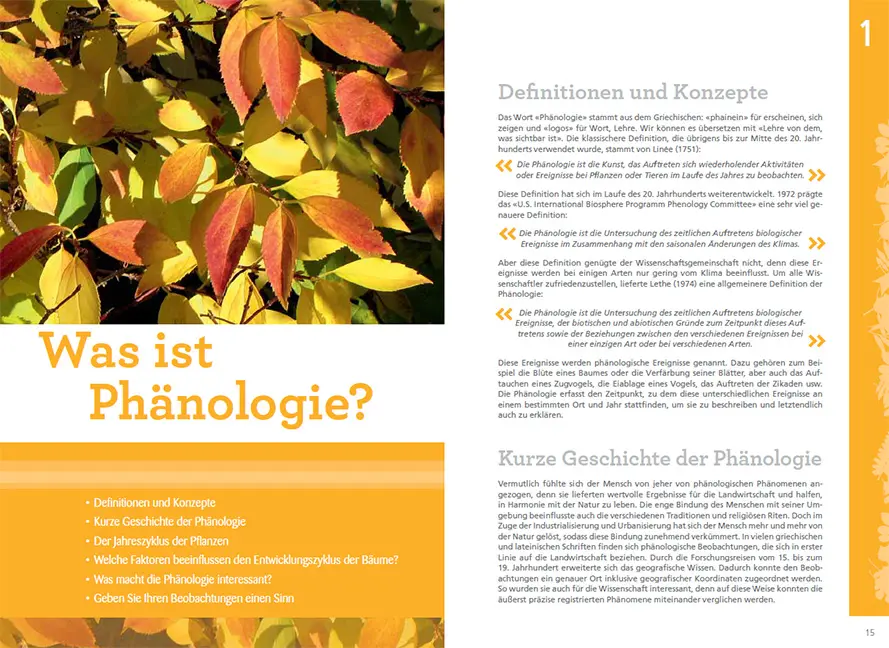 Beispielinhalt (Bild) Pflanzen im Rhythmus der Jahreszeiten beobachten